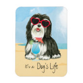 Sommer Havanese Magnet (Vertikal)
