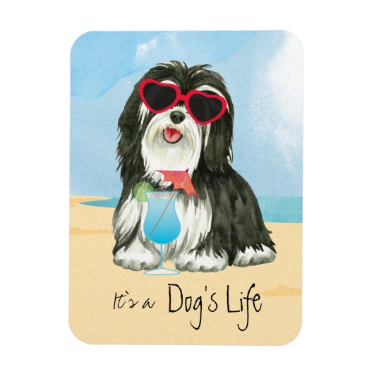Sommer Havanese Magnet (Vertikal)