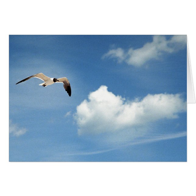 Sommer-Himmel (Vorderseite (Horizontal))