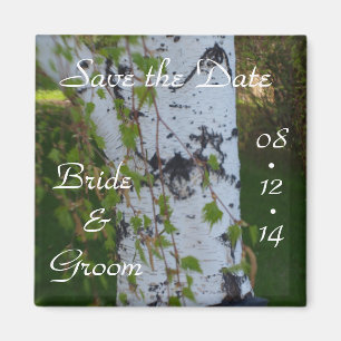 Sommer-Hochzeits-Birken-Baum Save the Date Magnet