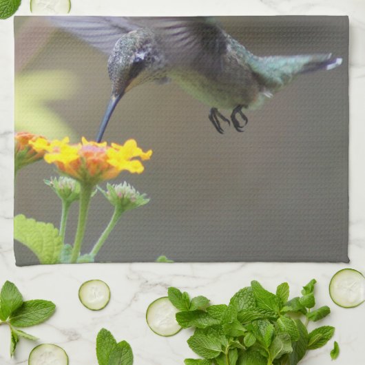 Sommer Hummer! Geschirrtuch (Gefaltet)