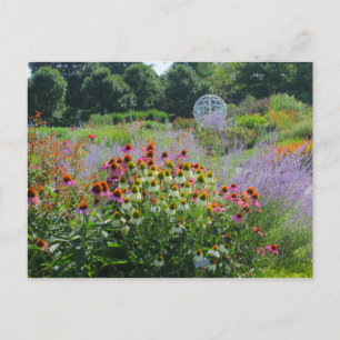 Sommer im Garten 2013 Postkarte