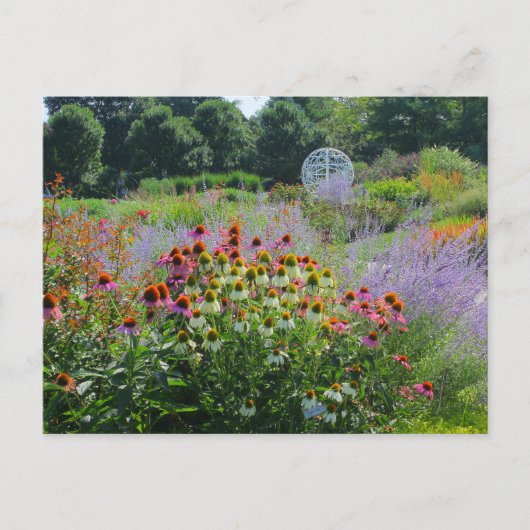 Sommer im Garten 2013 Postkarte (Vorderseite)