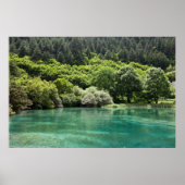 Sommer im Jiuzhaigou-Tal Poster (Vorne)