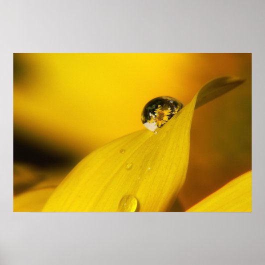 Sommer im Tropfen II. Poster (Vorne)