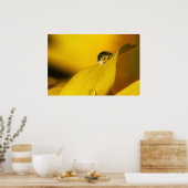 Sommer im Tropfen II. Poster (Küche)