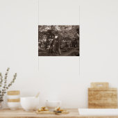 Sommer im Wald - warm getönt Poster (Küche)