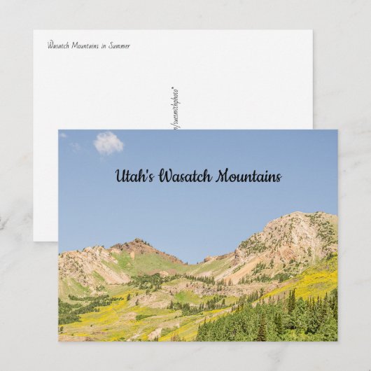 Sommer im Wasatch-Gebirge Postkarte (Vorne/Hinten)