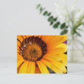 Sommer in Blüte Postkarte (Stehend Vorderseite)