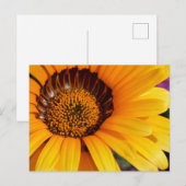 Sommer in Blüte Postkarte (Vorne/Hinten)
