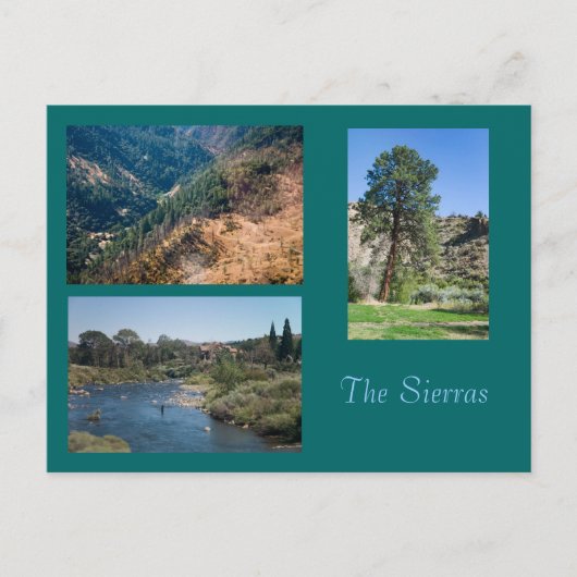 Sommer in den Sierras Postkarte (Vorderseite)