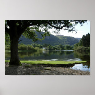 Sommer in der Strandshag Bay: Derwentwater Poster