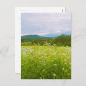 Sommer in Hälsingland - Helsingia Feiertagspostkarte (Vorne/Hinten)