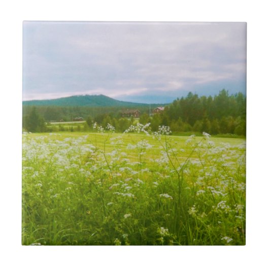 Sommer in Hälsingland - Helsingia Fliese (Vorderseite)