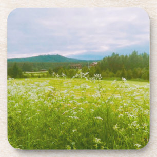 Sommer in Hälsingland - Helsingia Getränkeuntersetzer