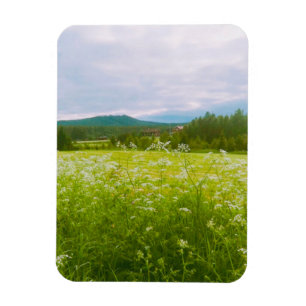 Sommer in Hälsingland - Helsingia Magnet