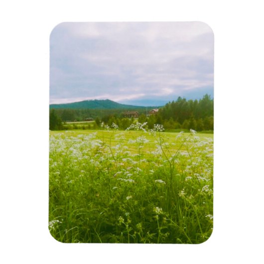 Sommer in Hälsingland - Helsingia Magnet (Vertikal)