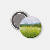 Sommer in Hälsingland - Helsingia Magnet (Vorderseite/Rückseite)