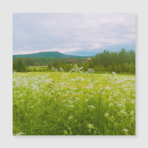 Sommer in Hälsingland - Helsingia  Magnetkarte