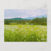 Sommer in Hälsingland - Helsingia Postkarte (Rückseite)