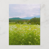 Sommer in Hälsingland - Helsingia Postkarte (Vorderseite)