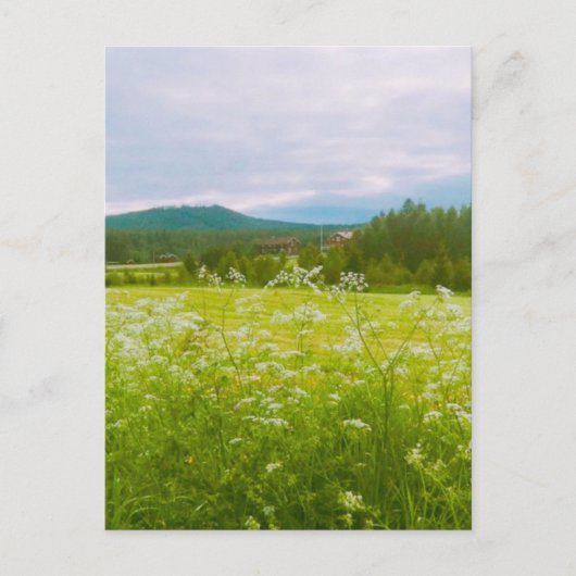 Sommer in Hälsingland - Helsingia Postkarte (Vorderseite)