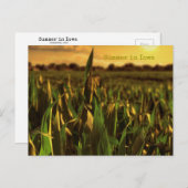 Sommer in Iowa Postkarte (Vorne/Hinten)