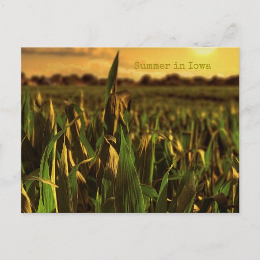 Sommer in Iowa Postkarte (Vorderseite)