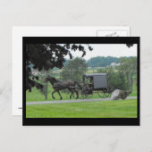 ~ Sommer in Lancaster County ~ 71 Postkarte (Vorne/Hinten)