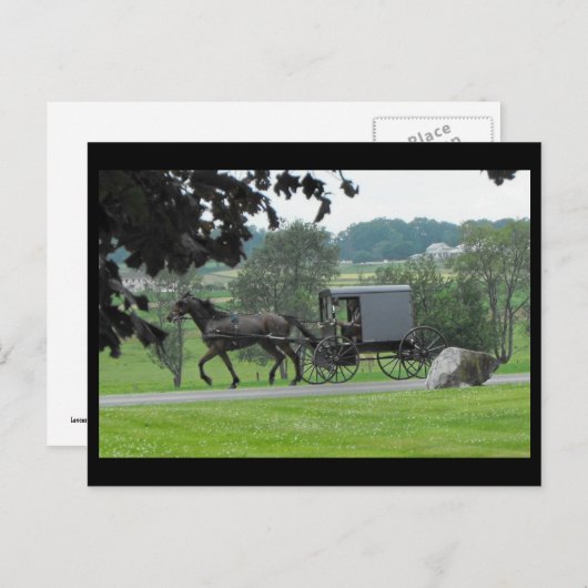 ~ Sommer in Lancaster County ~ 71 Postkarte (Vorne/Hinten)