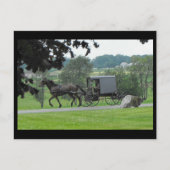 ~ Sommer in Lancaster County ~ 71 Postkarte (Vorderseite)