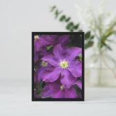 ~ Sommer in Lancaster Landkreis ~ 39 Postkarte (Stehend Vorderseite)