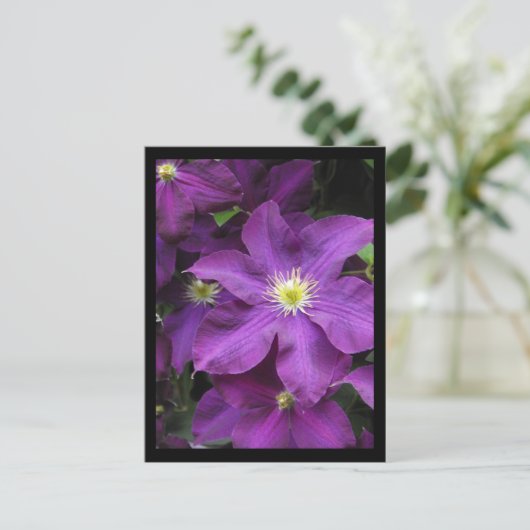 ~ Sommer in Lancaster Landkreis ~ 39 Postkarte (Stehend Vorderseite)