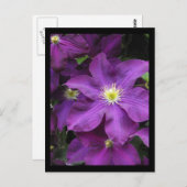 ~ Sommer in Lancaster Landkreis ~ 39 Postkarte (Vorne/Hinten)