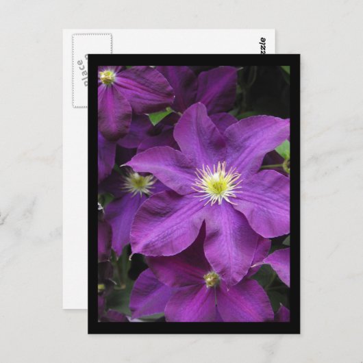 ~ Sommer in Lancaster Landkreis ~ 39 Postkarte (Vorne/Hinten)