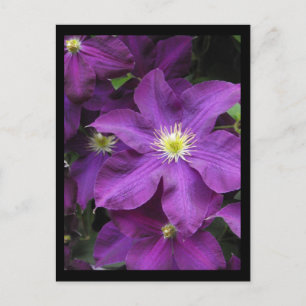 ~ Sommer in Lancaster Landkreis ~ 39 Postkarte