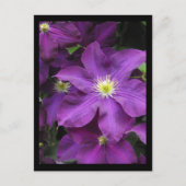 ~ Sommer in Lancaster Landkreis ~ 39 Postkarte (Vorderseite)