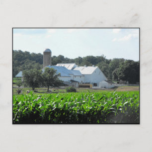 ~ Sommer in Lancaster Landkreis ~ 46 Postkarte