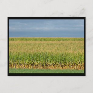 ~ Sommer in Lancaster Landkreis ~ 82 Postkarte