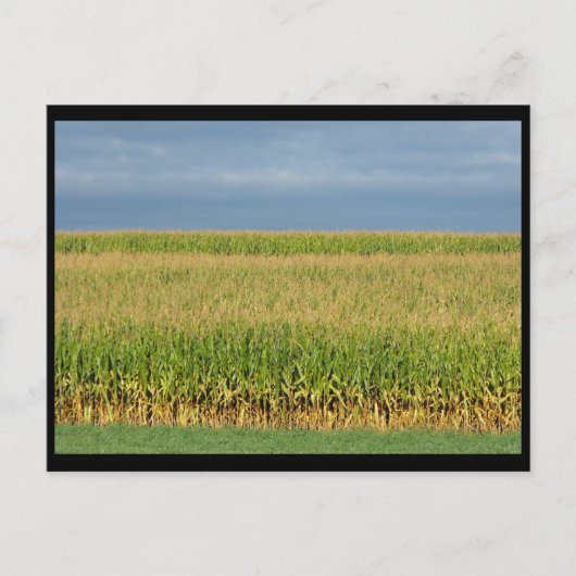 ~ Sommer in Lancaster Landkreis ~ 82 Postkarte (Vorderseite)