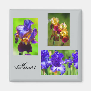 Sommer-Iris-Magnet Magnet