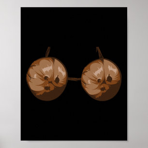 Sommer-Kokosnuss-BH-Halloween-Kostüm lustiges Outf Poster