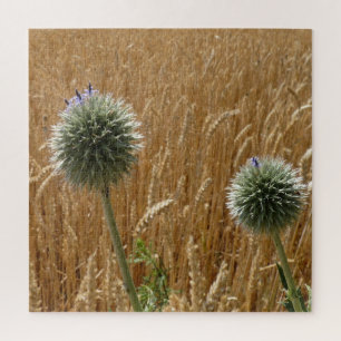 Sommer, Landwirtschaft, Feld, Natur, Landschaft, Puzzle
