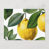 Sommer Lemons Postkarte (Vorderseite)