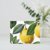 Sommer Lemons Postkarte (Stehend Vorderseite)