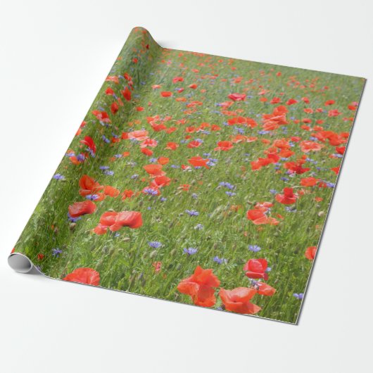 Sommer Mohnblumen und Cornflowers Geschenkpapier (Ungerollt)