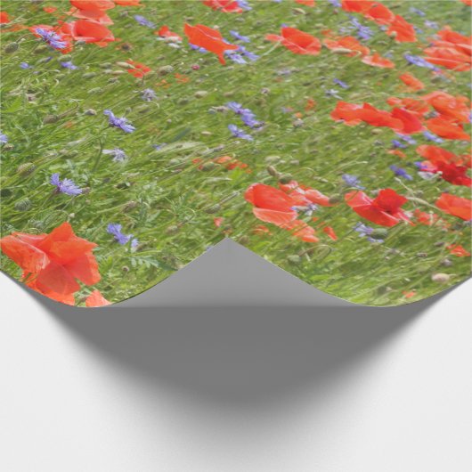 Sommer Mohnblumen und Cornflowers Geschenkpapier (Ecke)