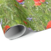Sommer Mohnblumen und Cornflowers Geschenkpapier (Rolleneckpunkt)