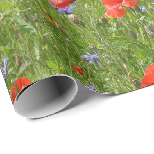 Sommer Mohnblumen und Cornflowers Geschenkpapier (Rolleneckpunkt)