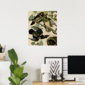 Sommer oder Holzente Poster (Heimbüro)